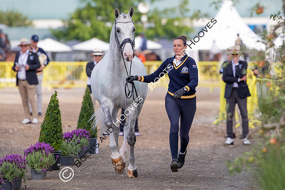 The FEI World Championships Herning 2022