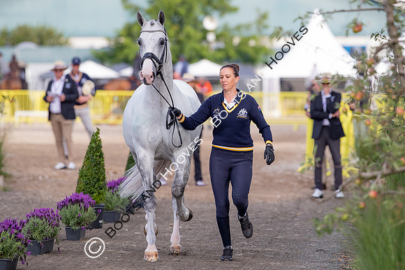 The FEI World Championships Herning 2022