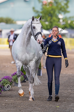 The FEI World Championships Herning 2022