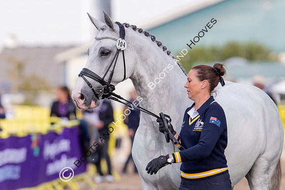 The FEI World Championships Herning 2022