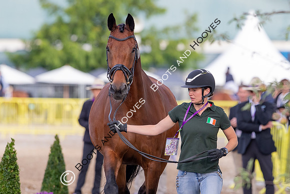 The FEI World Championships Herning 2022