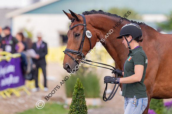 The FEI World Championships Herning 2022