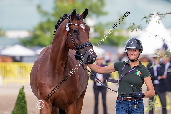 The FEI World Championships Herning 2022