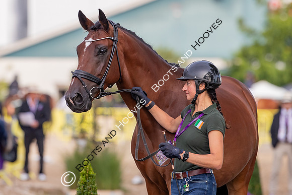 The FEI World Championships Herning 2022