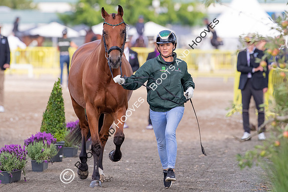 The FEI World Championships Herning 2022