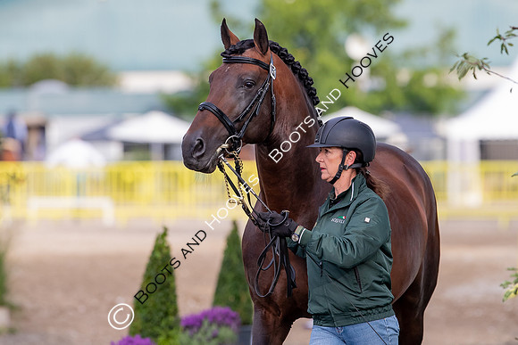 The FEI World Championships Herning 2022