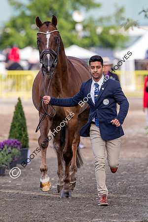 The FEI World Championships Herning 2022