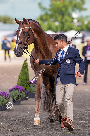 The FEI World Championships Herning 2022