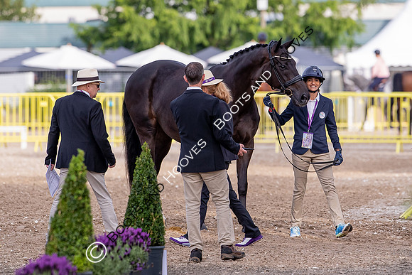The FEI World Championships Herning 2022