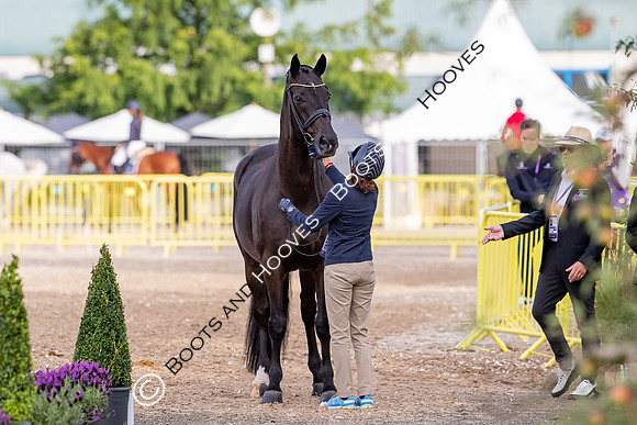 The FEI World Championships Herning 2022