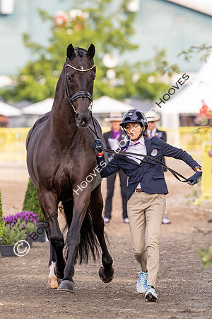 The FEI World Championships Herning 2022