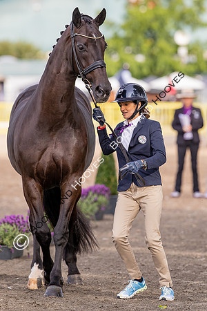 The FEI World Championships Herning 2022