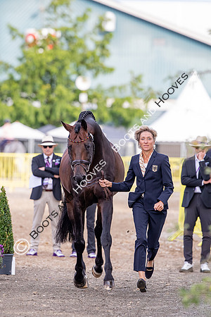 The FEI World Championships Herning 2022