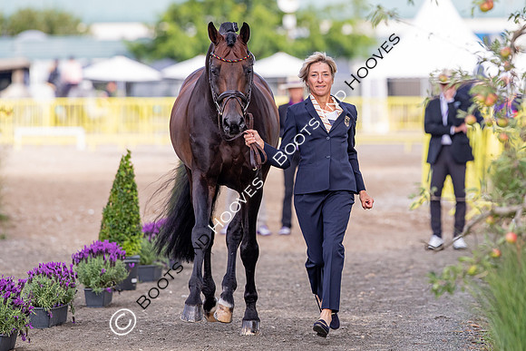 The FEI World Championships Herning 2022