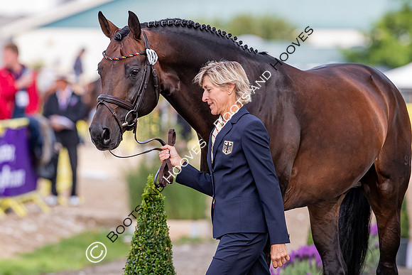The FEI World Championships Herning 2022