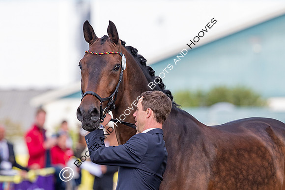 The FEI World Championships Herning 2022
