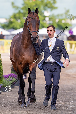The FEI World Championships Herning 2022