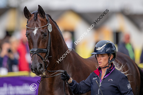 The FEI World Championships Herning 2022