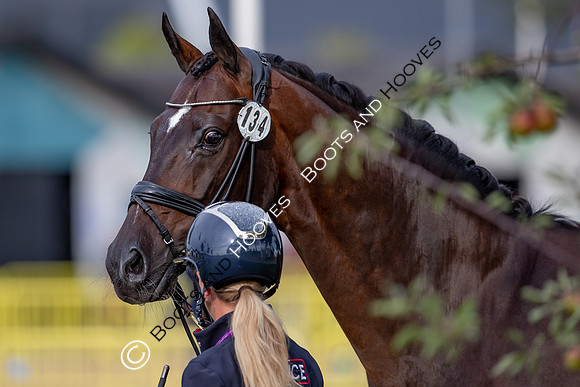 The FEI World Championships Herning 2022