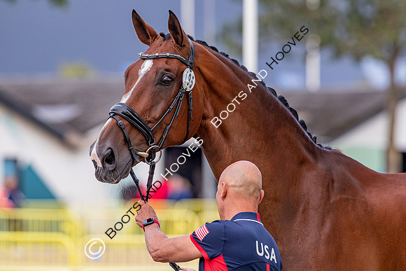 The FEI World Championships Herning 2022