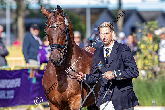 The FEI World Championships Herning 2022