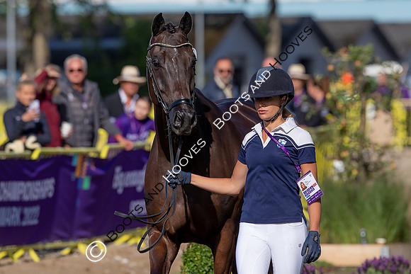 The FEI World Championships Herning 2022