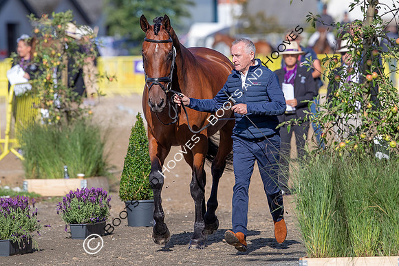 The FEI World Championships Herning 2022