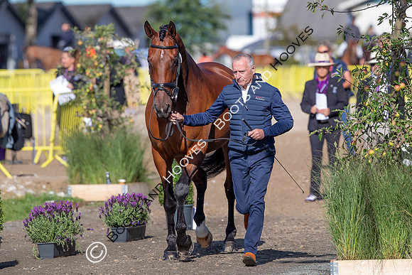The FEI World Championships Herning 2022