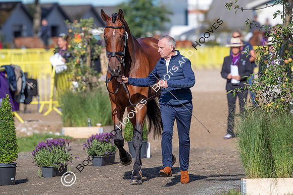 The FEI World Championships Herning 2022