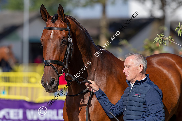 The FEI World Championships Herning 2022