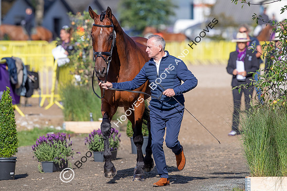 The FEI World Championships Herning 2022
