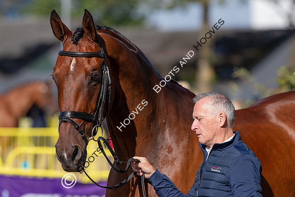 The FEI World Championships Herning 2022