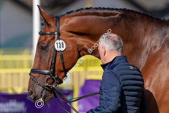 The FEI World Championships Herning 2022