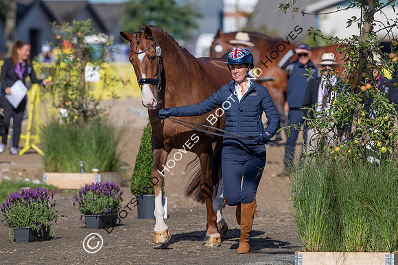 The FEI World Championships Herning 2022