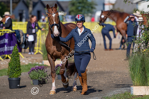 The FEI World Championships Herning 2022