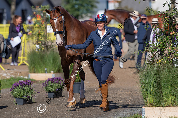 The FEI World Championships Herning 2022