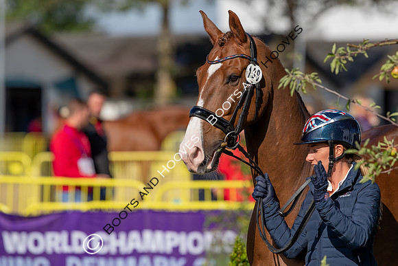 The FEI World Championships Herning 2022