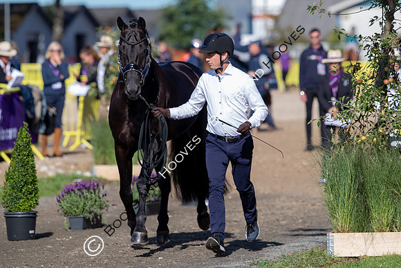 The FEI World Championships Herning 2022