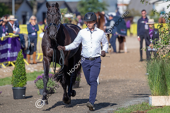 The FEI World Championships Herning 2022