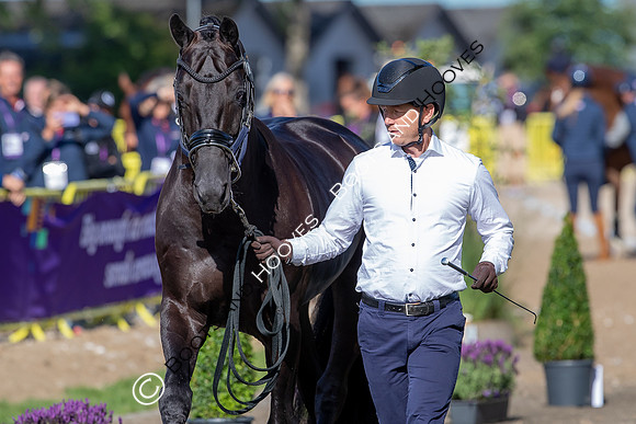 The FEI World Championships Herning 2022