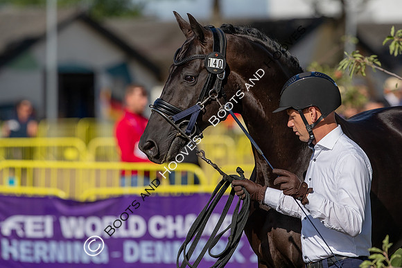 The FEI World Championships Herning 2022
