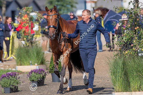 The FEI World Championships Herning 2022