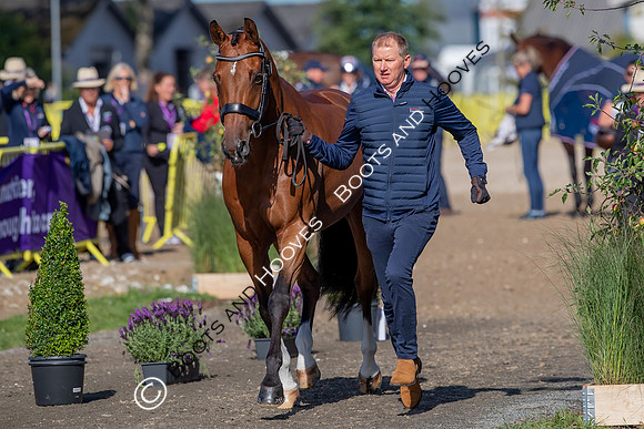 The FEI World Championships Herning 2022