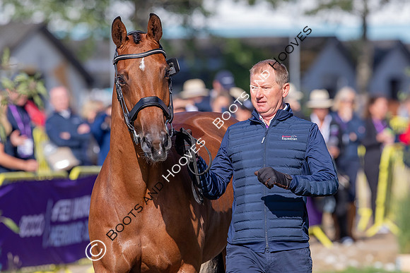 The FEI World Championships Herning 2022