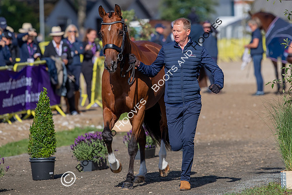 The FEI World Championships Herning 2022