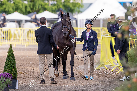 The FEI World Championships Herning 2022