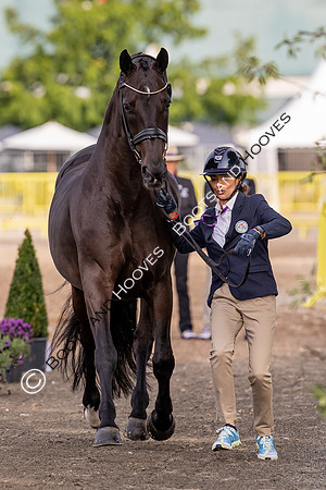 The FEI World Championships Herning 2022