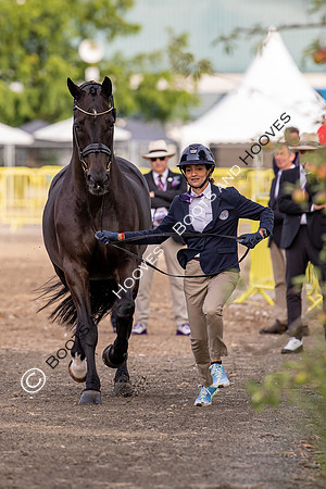 The FEI World Championships Herning 2022