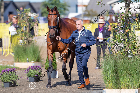 The FEI World Championships Herning 2022