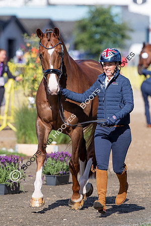 The FEI World Championships Herning 2022